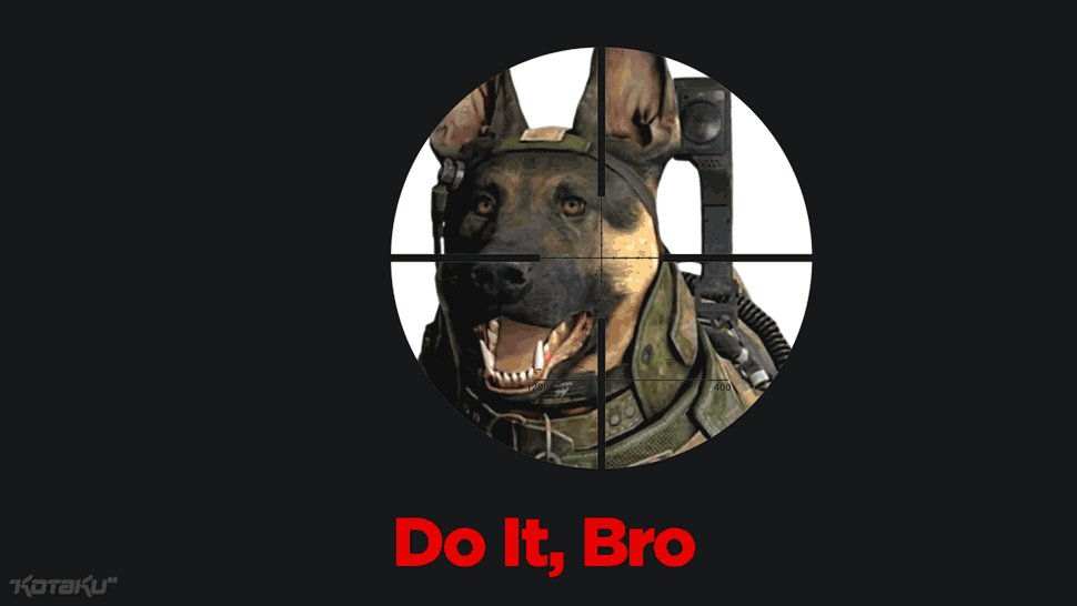 chien-call-of-duty